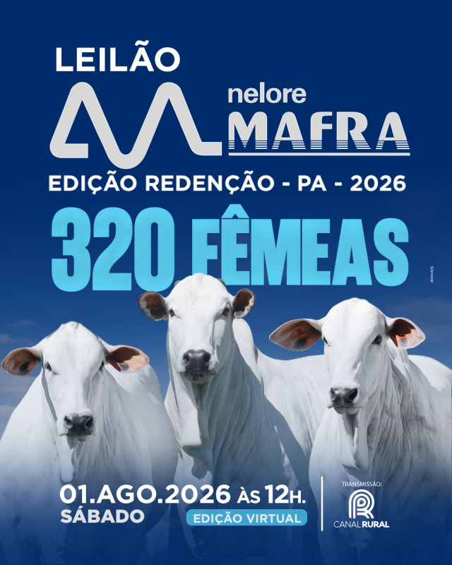 Leilão Nelore Mafra Edição Redenção/PA 2026 - 320 Fêmeas