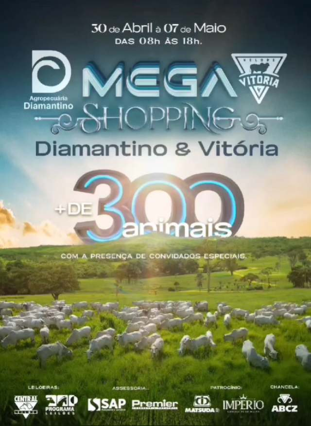 Mega Shopping Diamantino & Vitória