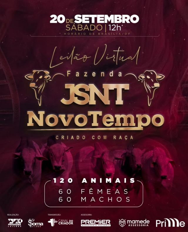 Leilão Virtual Fazenda JSNT Novo Tempo