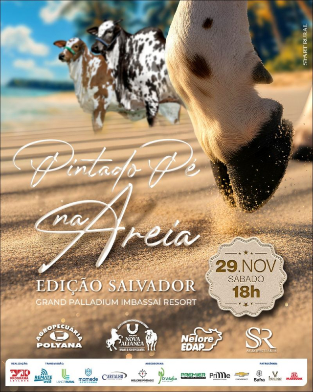 Leilão Pintado Pé na Areia