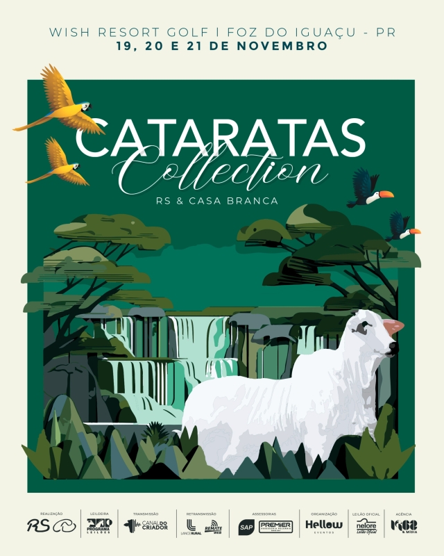 Leilão Cataratas Collection RS & Casa Branca.