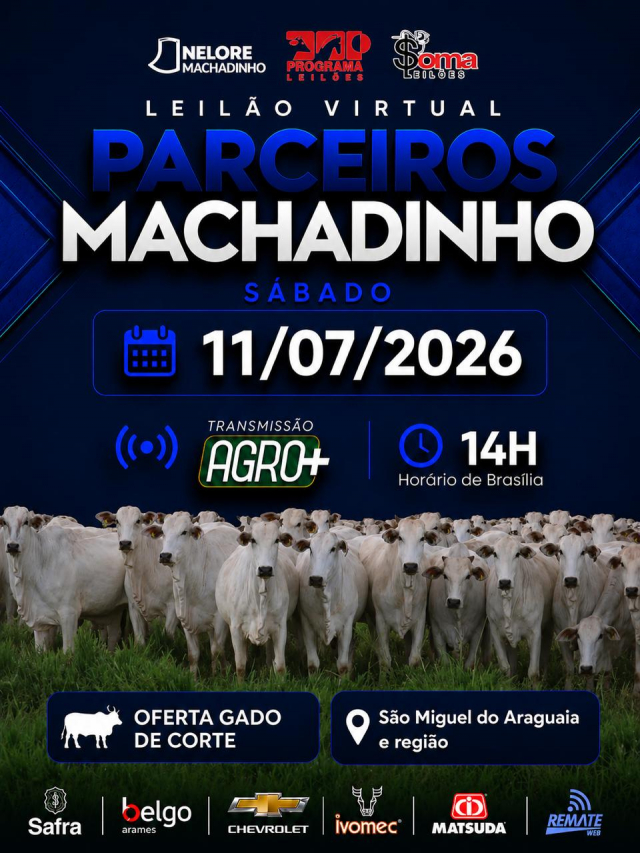 Leilão Virtual Parceiros Machadinho