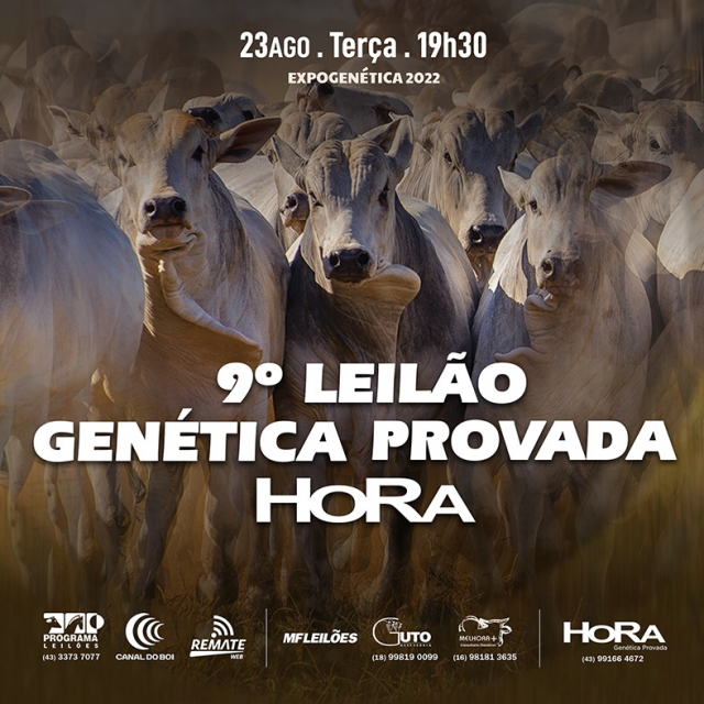 9° Leilão Genética Provada HoRa