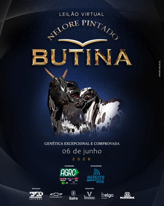 Leilão Virtual Nelore Pintado Butina
