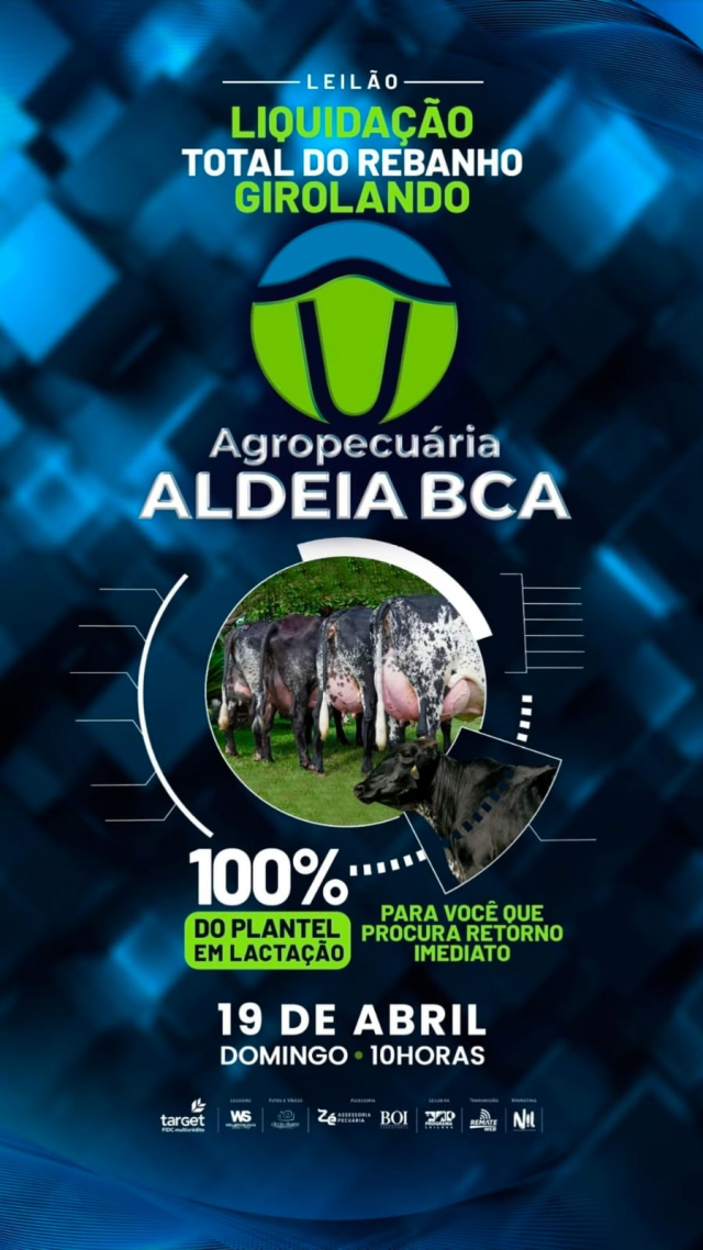 Leilão Virtual Liquidação Girolando Aldeia BCA