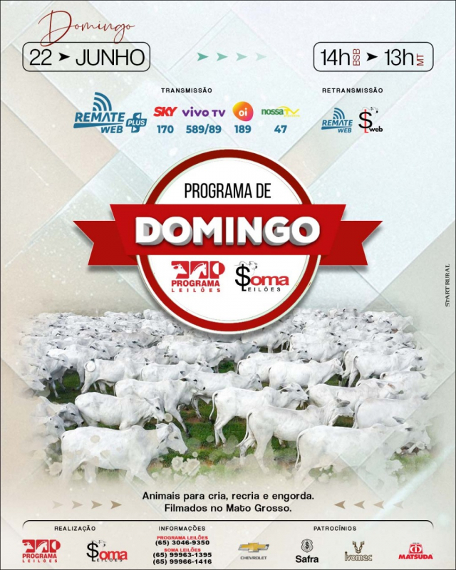 117º Programa de Domingo - Programa e Soma Leilões