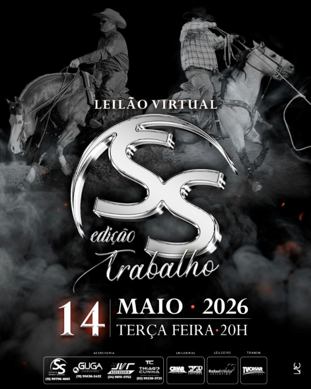 Leilão Virtual SS - Edição Trabalho