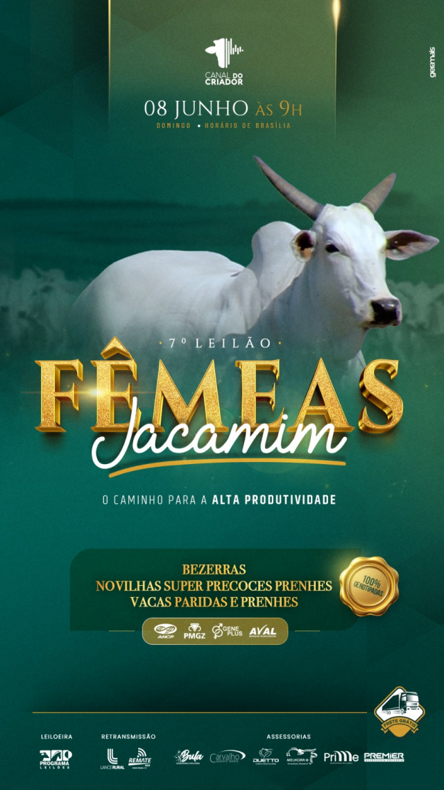 7º Leilão Virtual Fêmeas Jacamim