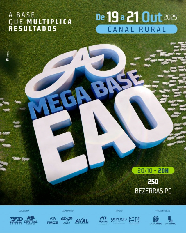 Leilão Mega Base EAO - Bezerras PC