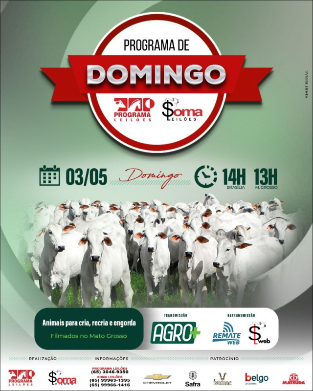 150° Programa de Domingo - Programa e Soma Leilões