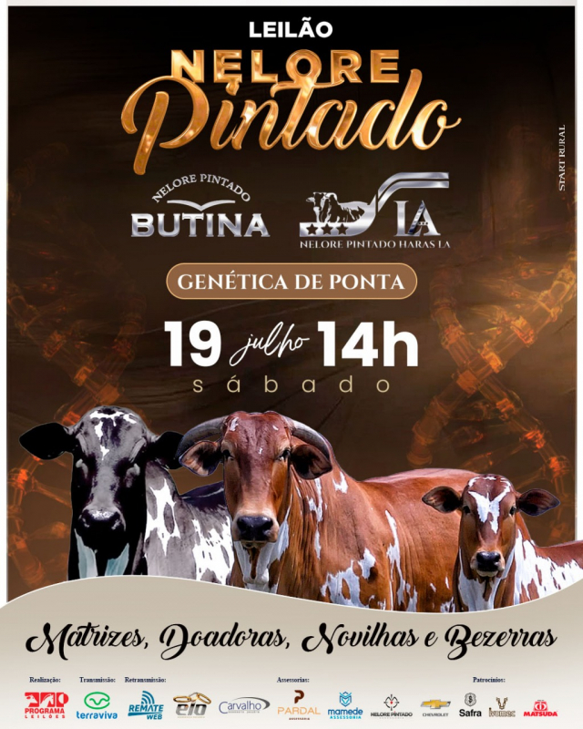 Leilão Virtual Nelore Pintado - Butina e LA