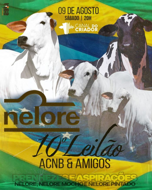 10º Leilão Virtual ACNB e Amigos