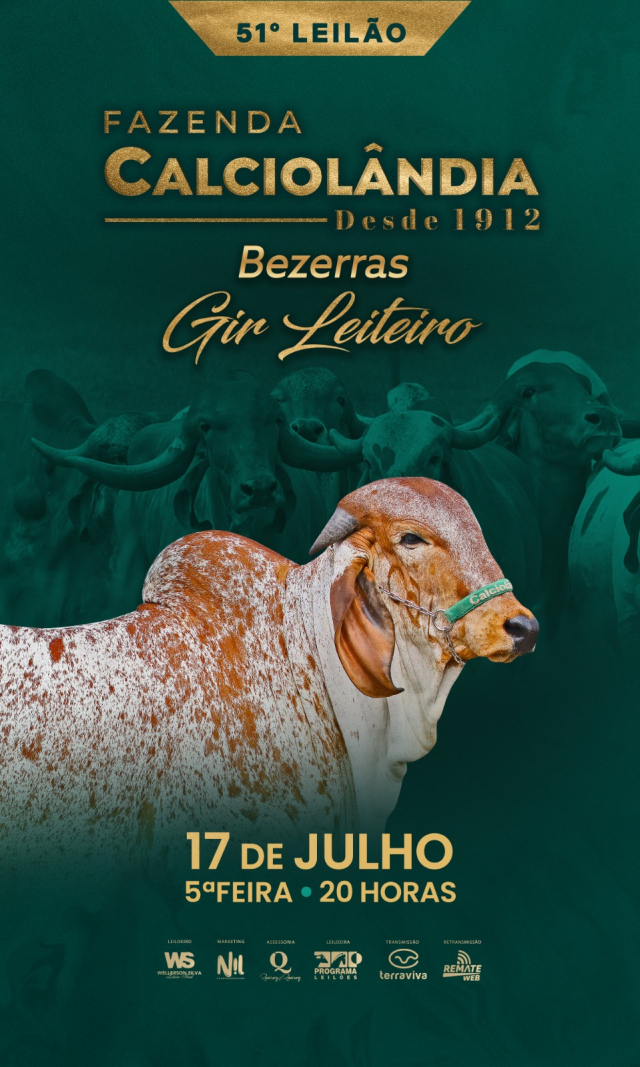 51º Leilão Virtual Fazenda Calciolândia - Bezerras Gir Leiteiro