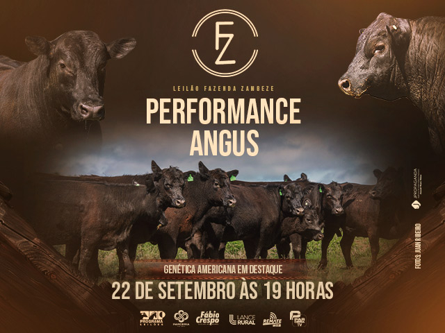 Leilão Virtual  Fazenda Zambeze - Performance Angus