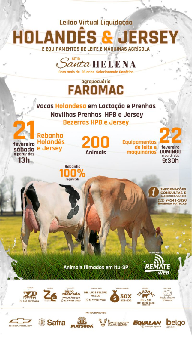 Leilão Virtual Liquidação Sítio Santa Helena - Equipamentos e Maquinários