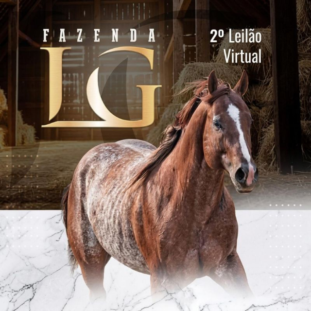 2° Leilão Virtual Fazenda LG