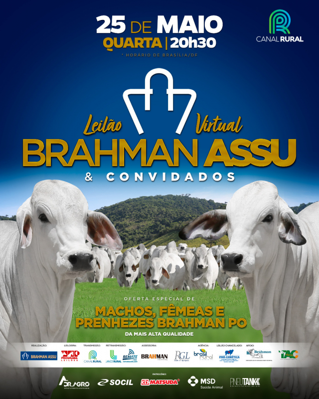 Leilão Virtual Brahman Assu & Convidados