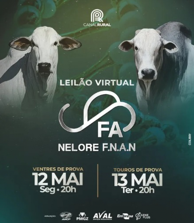 Leilão Virtual Ventres de Prova Nelore F.N.A.N - Fêmeas