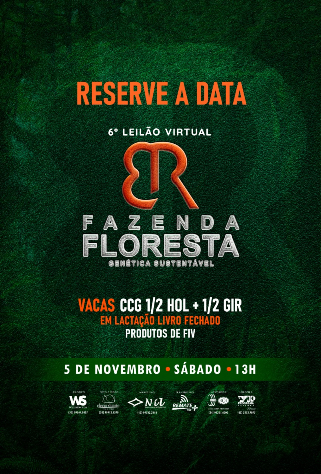 6° Leilão Virtual Fazenda Floresta