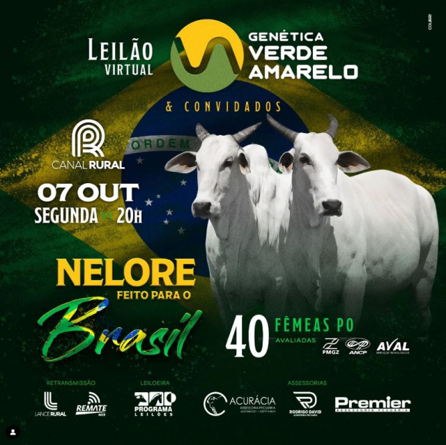 Leilão Virtual Genética Verde Amarelo - Fêmeas