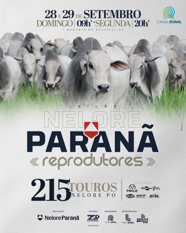 Leilão Virtual Nelore Paranã - Reprodutores