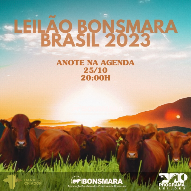 Leilão Bonsmara Brasil 2023