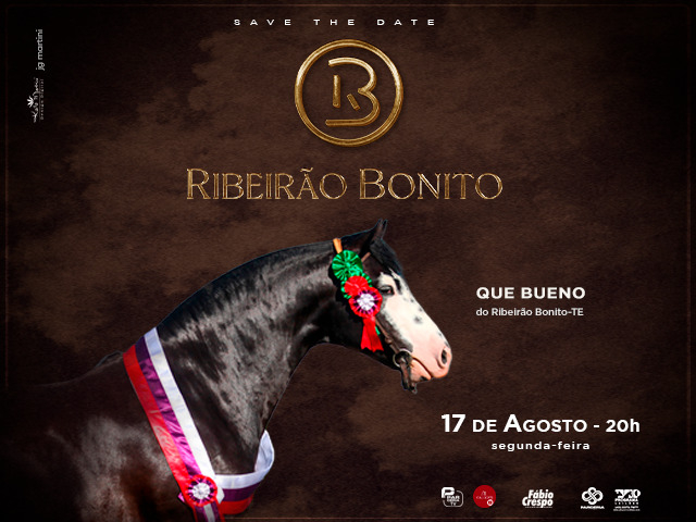 Leilão Ribeirão Bonito