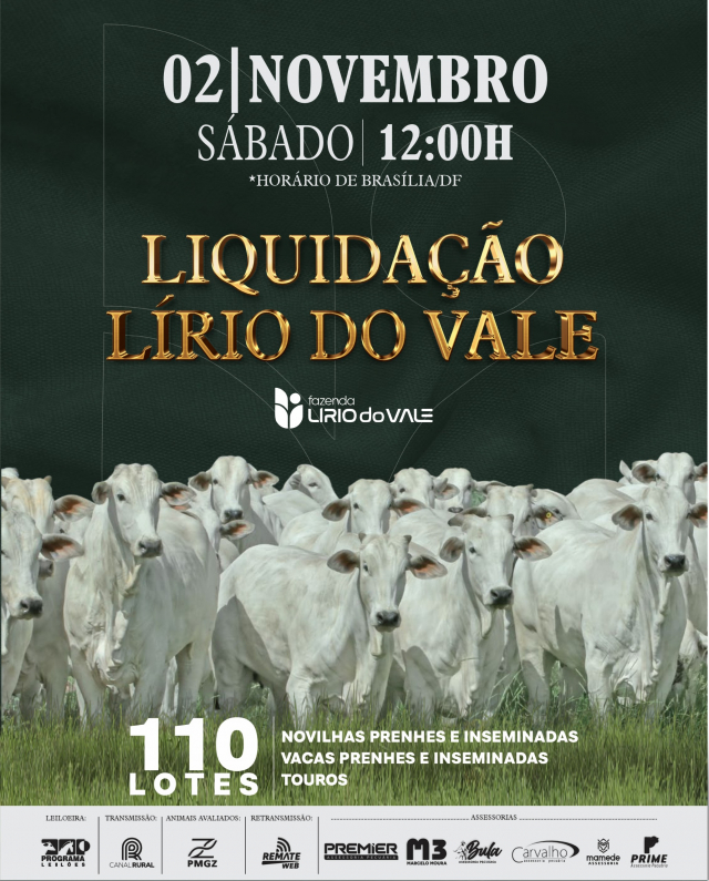 Leilão Liquidação Nelore Lírio do Vale