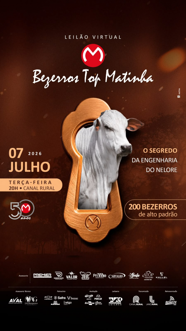 Leilão Virtual Bezerros Top Matinha