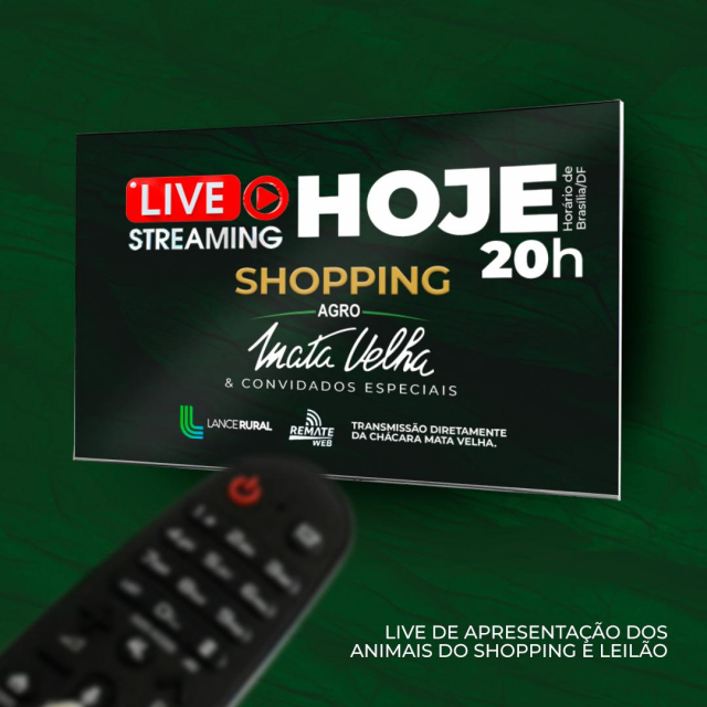 LIVE - Agro Mata Velha