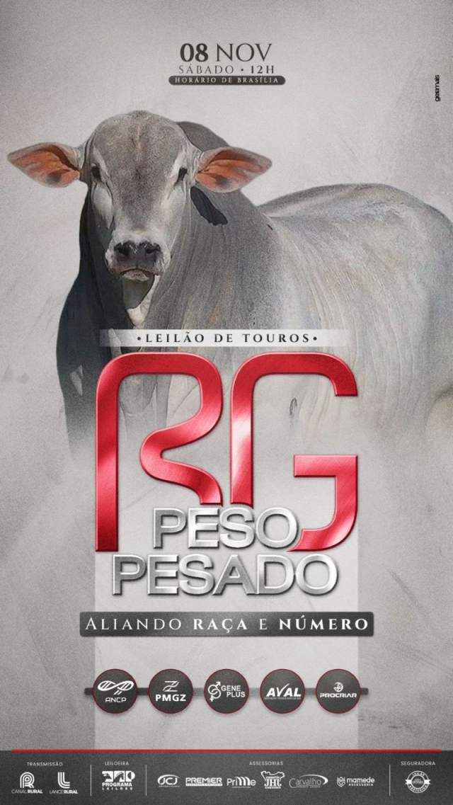 Leilão Virtual de Touros RG Peso Pesado