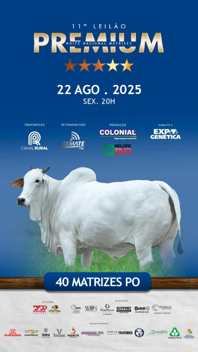 11º Leilão Noite Nacional Matrizes Premium