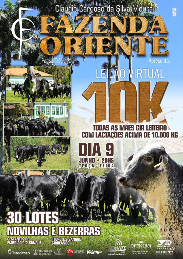 Virtual 10k Fazenda Oriente
