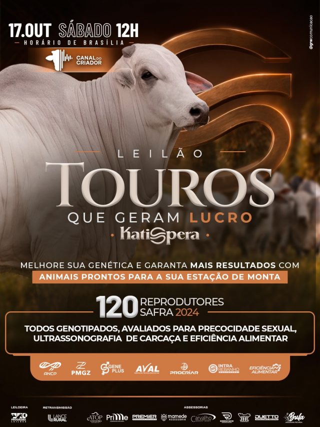 Leilão Touros Que Geram Lucro Katispera