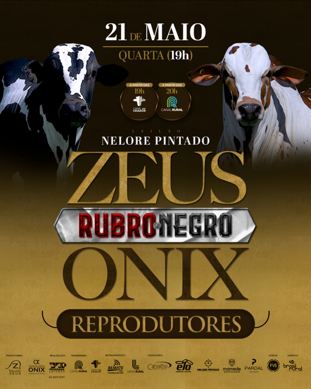 Virtual Nelore Pintado Zeus Onix Rubro Negro - Reprodutores