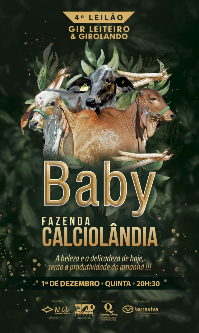 4° Leilão Gir Leiteiro & Girolando Baby Fazenda Calciolândia