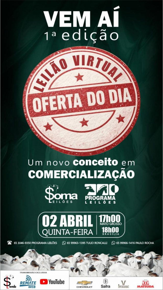 Leilão Virtual Oferta do Dia