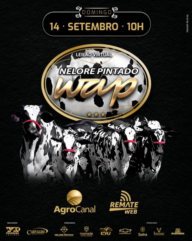 Leilão Virtual Nelore Pintado WAP