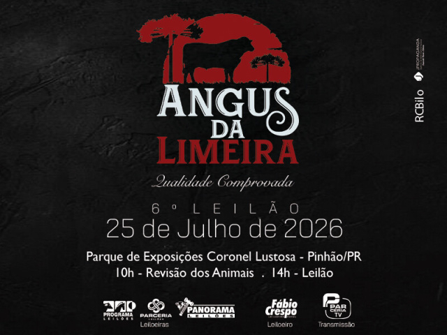 6º Leilão Angus da Limeira