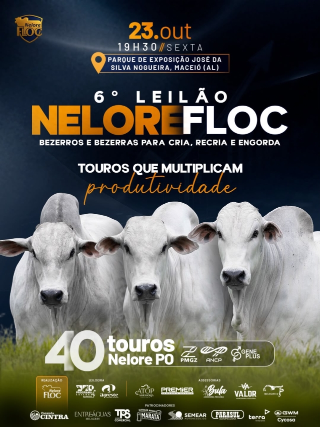 6º Leilão Nelore Floc