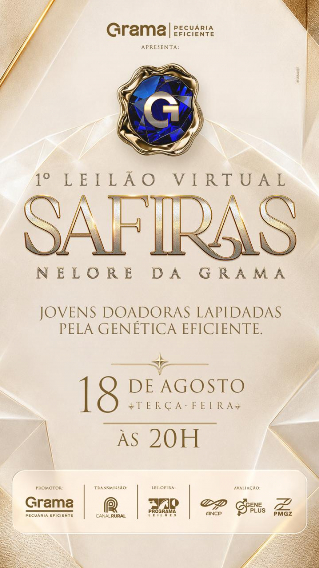 1º Leilão Virtual Safiras Nelore da Grama