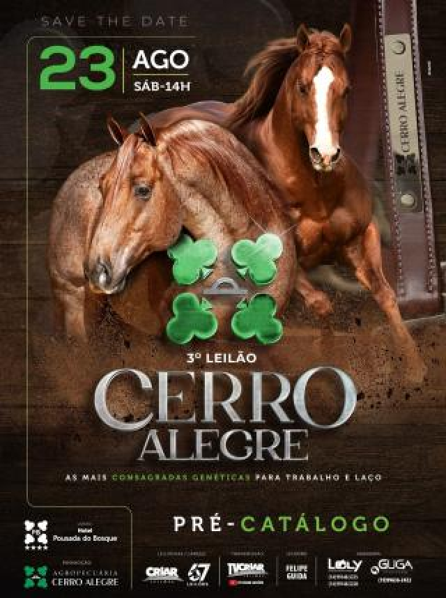 3º Leilão Cerro Alegre