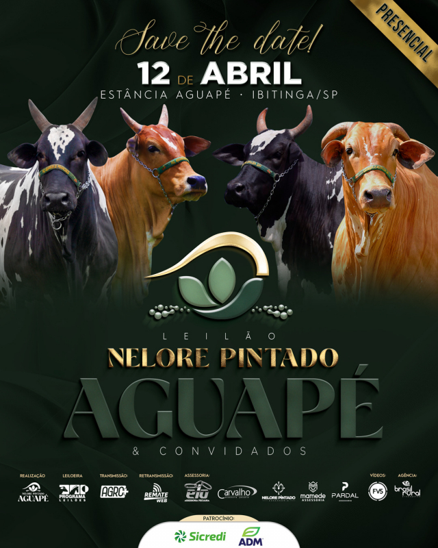 3º Leilão Nelore Pintado Aguapé e Convidados