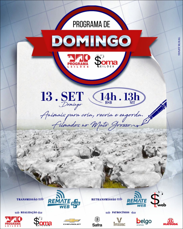 163° Programa de Domingo - Programa e Soma Leilões