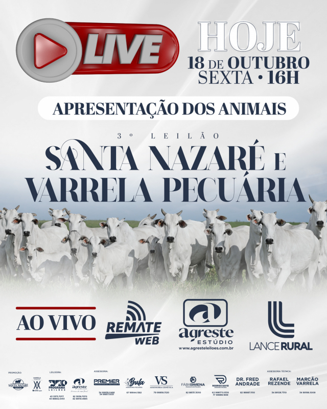 LIVE - Leilão Santa Nazaré  e Varrela Pecuária