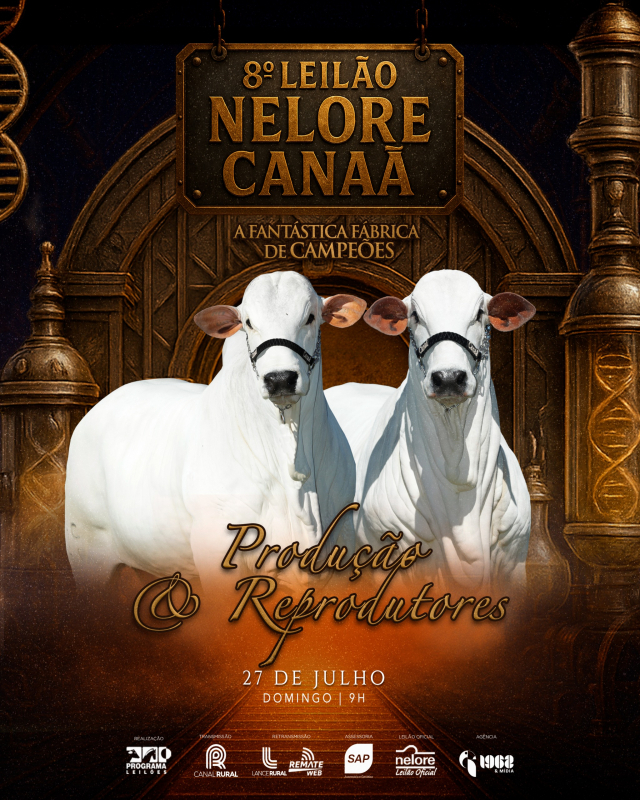 8° Leilão Virtual Nelore Canaã - Produção e Reprodutores