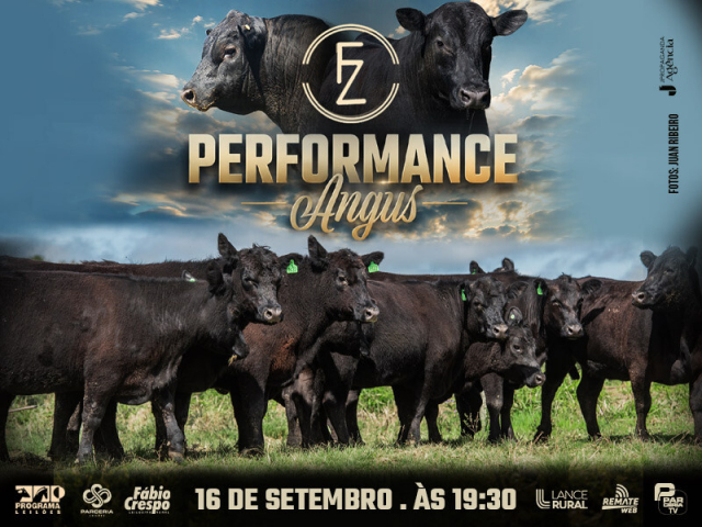 Leilão Performance Angus