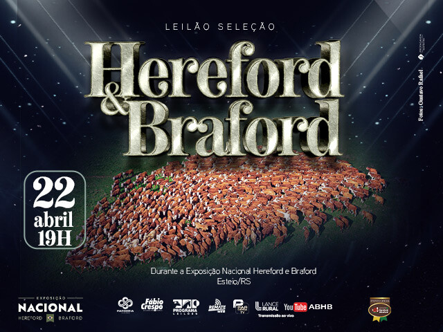 Leilão Seleção Hereford e Braford