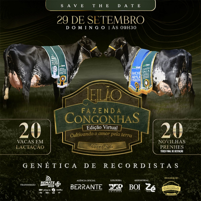 Leilão Virtual Fazenda Congonhas