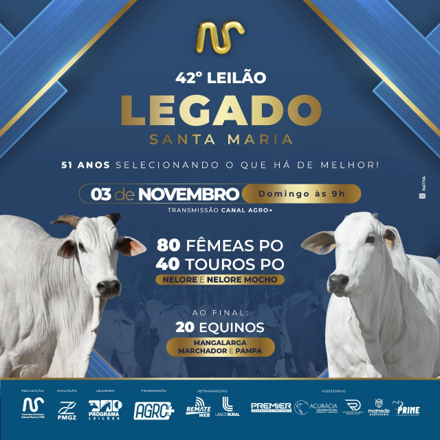 42° Leilão Virtual Legado Santa Maria